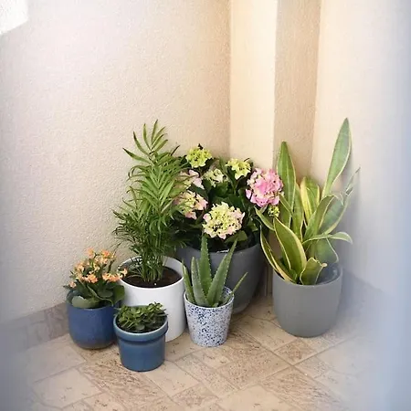 Family Manuela Apartment